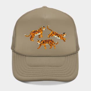 Tigers on Turquoise Hat