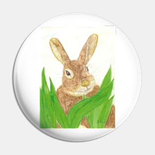 Easter bunny in the grass Pin