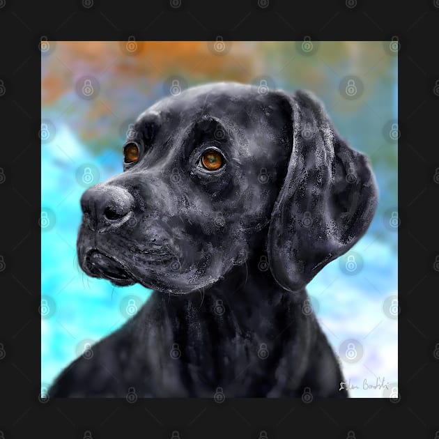 Painting of a Black Labrador on a Blue and Brown Background by ibadishi