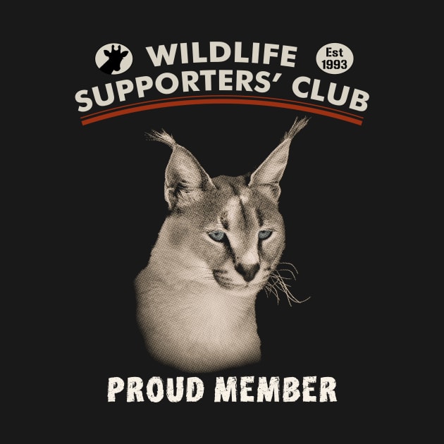 Caracal Wild Cat Close-up for Wildlife Supporters by scotch