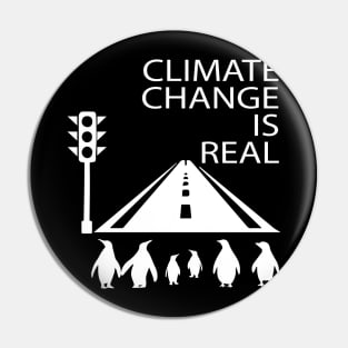 climate change is real is really Pin