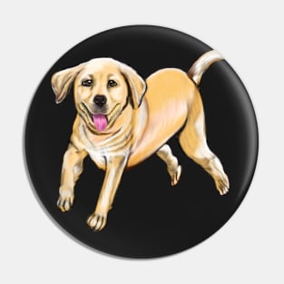 Labrador retriever playing - cute Golden Labrador retriever puppy dog prancing about Pin