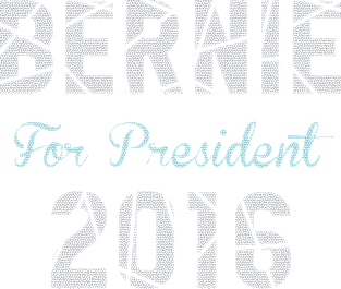 Bernie Sanders 2016 Magnet