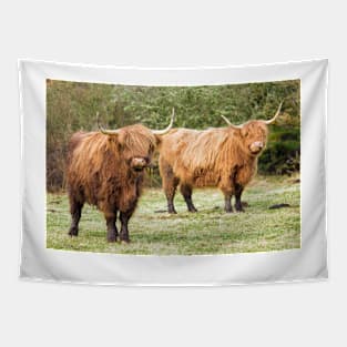 Highland Cows Coos Shaggy Moos Cattle Photo Tapestry