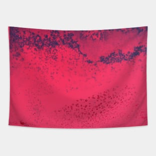 Bubblegum Grunge Paint Texture Tapestry