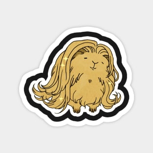 Peruvian Long-haired Guinea Pig Magnet