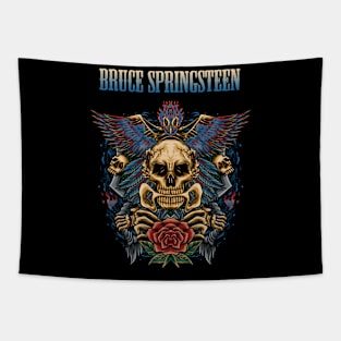 SPRINGSTEEN BAND Tapestry