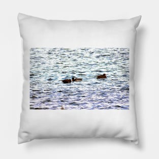 Ducks in a Row Pillow