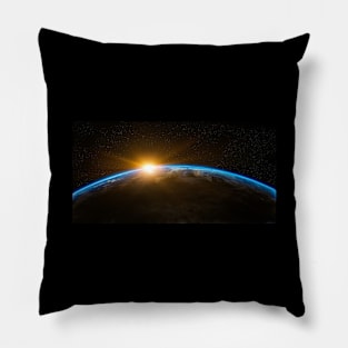 Earth Pillow