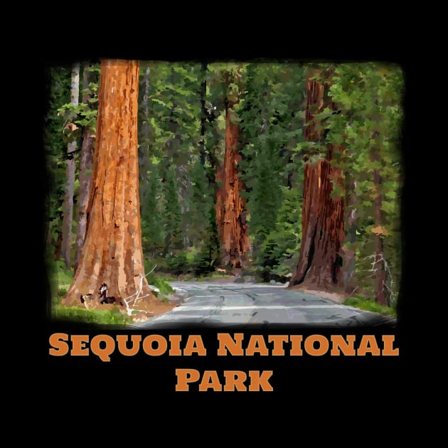 Sequoia National Park - Kings Canyon California Redwood trees by jdunster