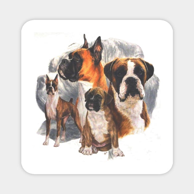 Boxer Montage Magnet by BarbBarcikKeith