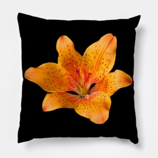 orange lily flower, lilies, garden, nature, bloom Pillow