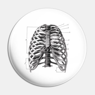 Human rib cage print Pin