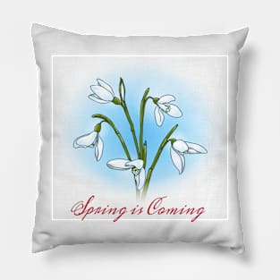 Spring is coming Pillow