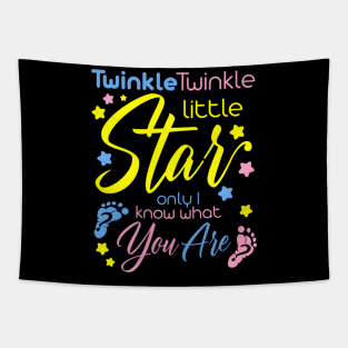 Twinkle Twinkle Little Star Only I Know W Gender Keeper Tapestry