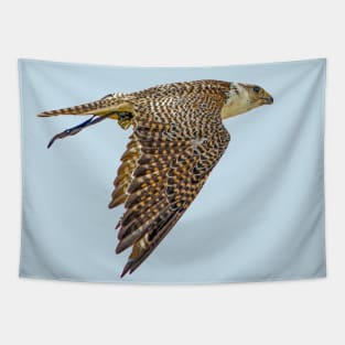 Falconers Falcon Tapestry