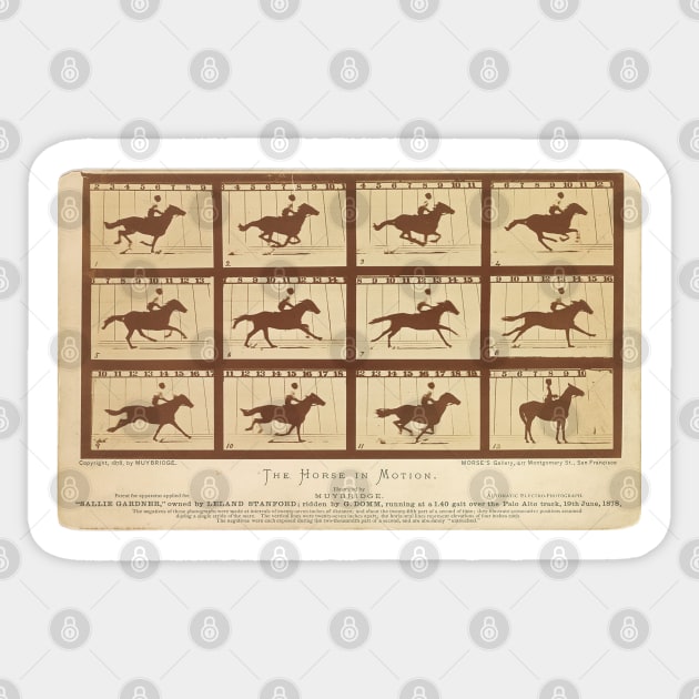 in　Horse　Sticker　Muybridge　Eadweard　TeePublic　Motion　Muybridge's　The　Eadweard