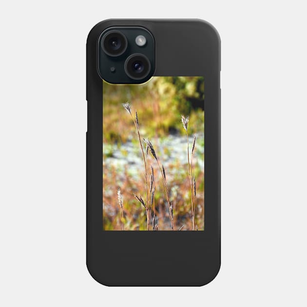 Autumn Grasses Phone Case by bobmeyers