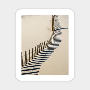 Spiny Beach Fence Magnet