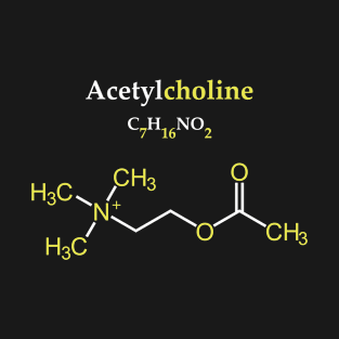 Acetylcholine Molecule Original Concept T-Shirt