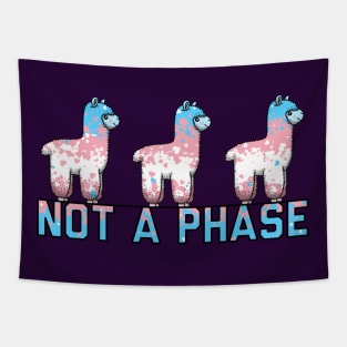 Not A Phase Trans Tapestry