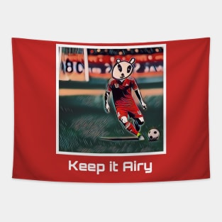 Keep it Airy: Soccer Tapestry