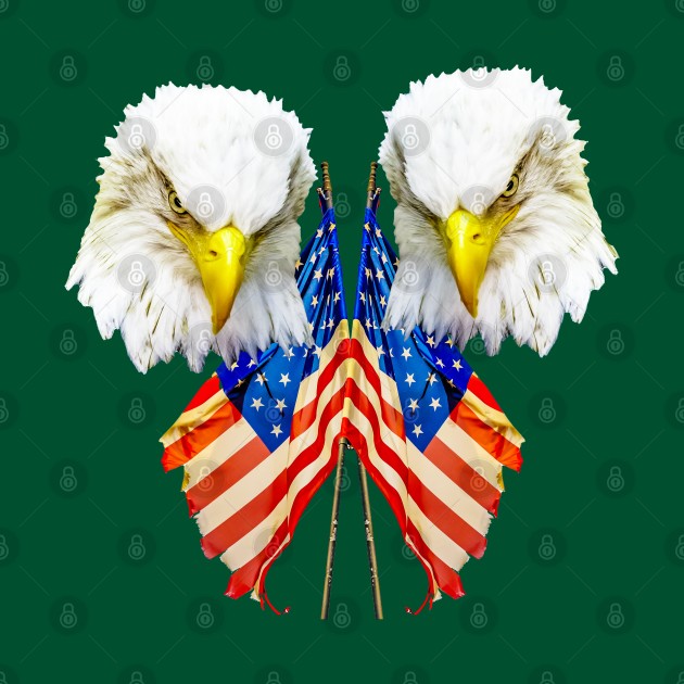 The Eagles and the Flag by dalyndigaital2@gmail.com