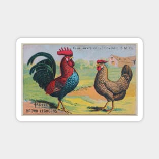 Leghorn Chickens Trade Card Magnet