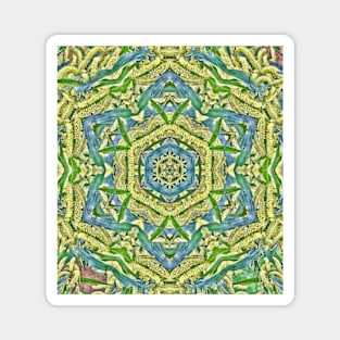 Beautiful wattle mandala Magnet