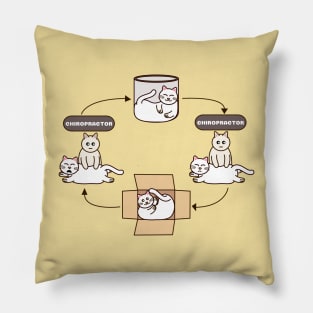 Chiropractic Cat Pillow