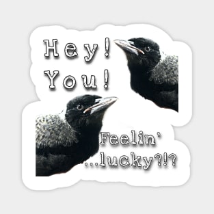 Hey! You! Feelin’ ... Lucky?!? Magnet