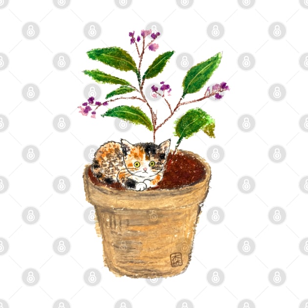 Cat in a pot by colorofmori