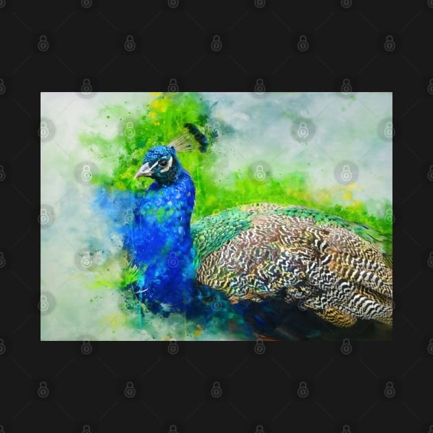 Painted Peacock by Amanda Jane