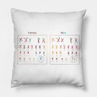 Female and male Chromosome idiogram Pillow