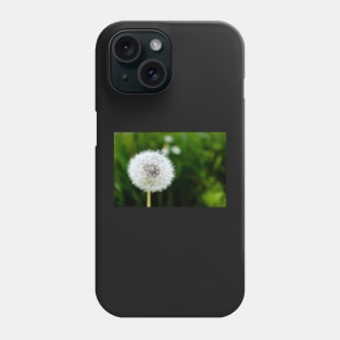 White dandelion head blowball Phone Case