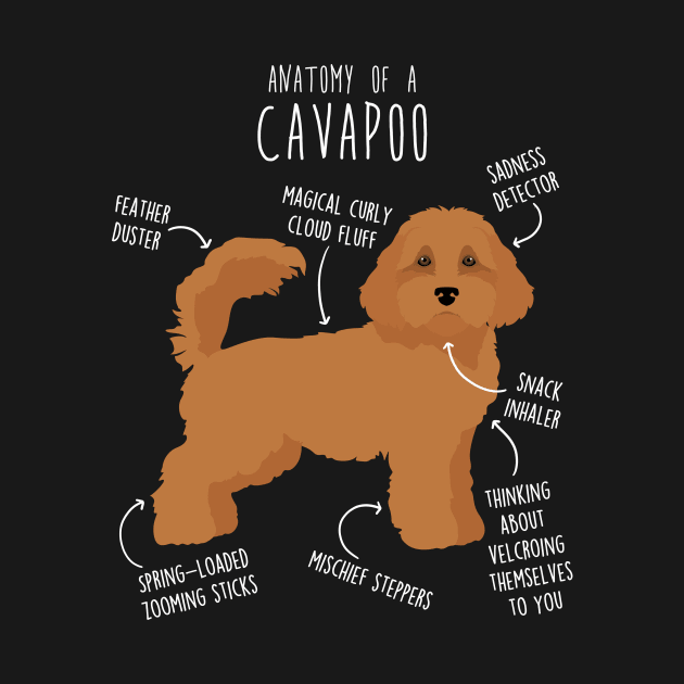 Cavapoo Dog Anatomy by Psitta