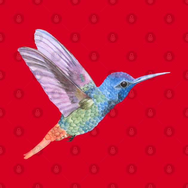 Colorful Colibri by Happy Art Designs