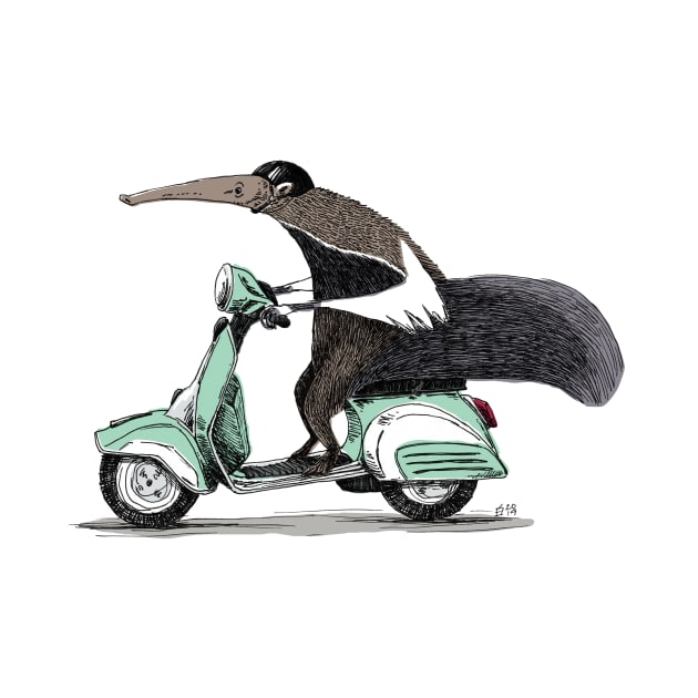 Anteater on a Vespa - Green by shiro