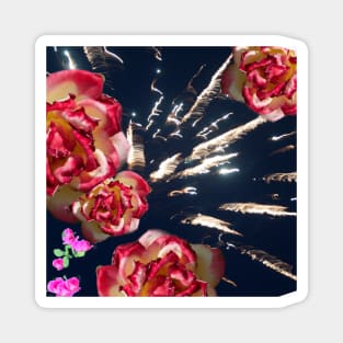 Fireworks and Roses Magnet