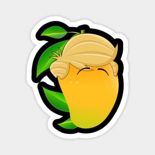 mango Magnet