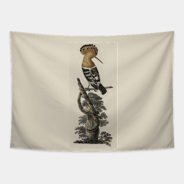 Hoopoe bird Tapestry by High Class Arts