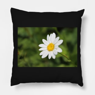 Daisy Pillow