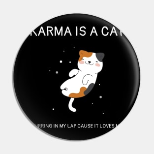 Karma is Cat Funny Pin