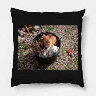 Two Cats in Garden Tub Pillow