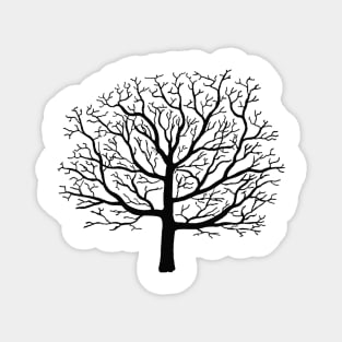 Sleepy Hollow Creepy Tree Magnet