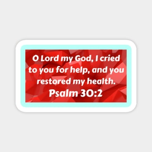 Bible Verse Psalm 30:2 Magnet