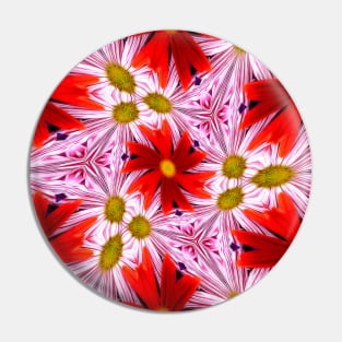 Beautiful Red Aster Patterns Pin