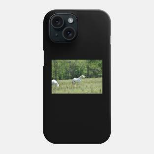 Wild Horse Phone Case