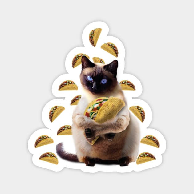 Siamese Cat Kitty Kitten Eating Taco Tacos, Funny Cute Magnet by Random Galaxy