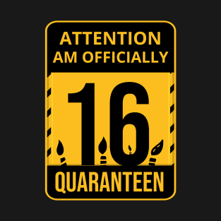 16th Birthday Officially a Quaranteen teenager 16 Years Old T-Shirt